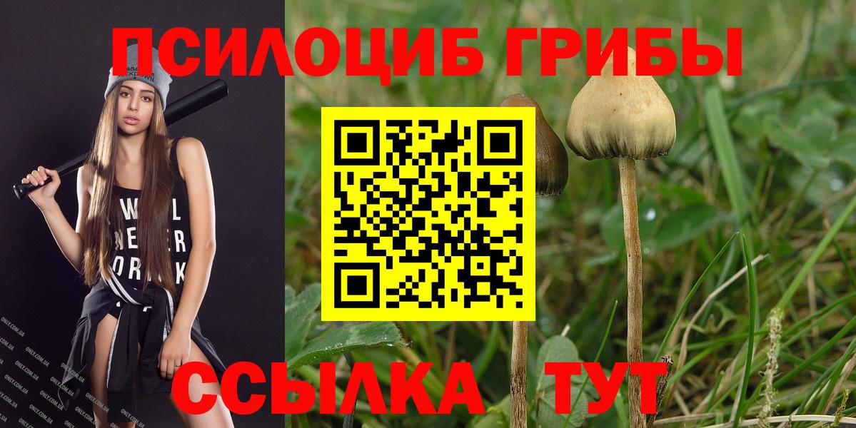 Галлюциногенные грибы MAGIC MUSHROOMS  Вход с VPN  Псилоцибиновые грибы Magic Shrooms  Кировск 